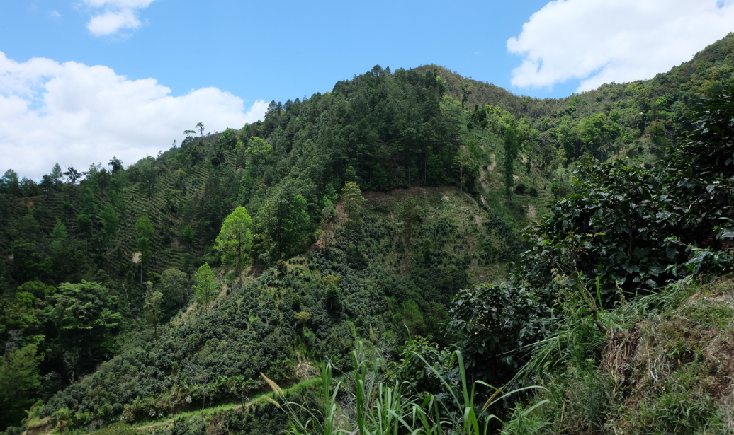 Los Congos border line.png