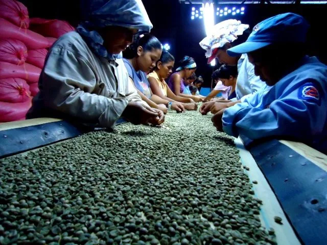 cafe-vidita-dry-mill-roasted-nicaraguan-coffee5.jpg