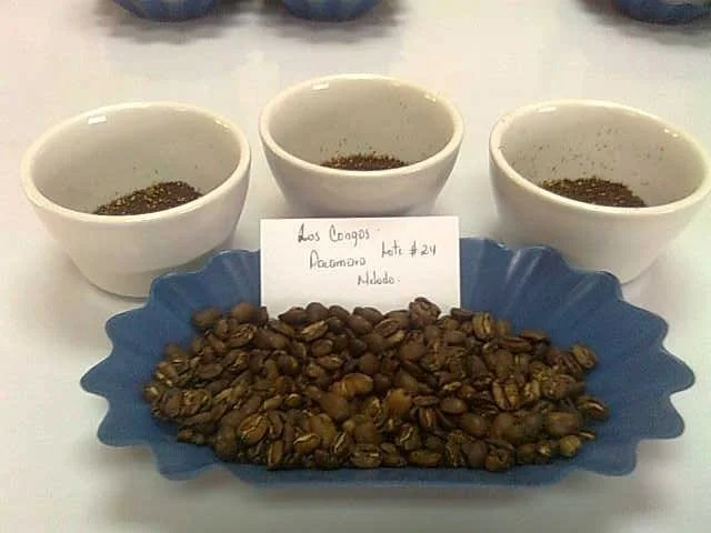 cafe-vidita-dry-mill-roasted-nicaraguan-coffee3.jpg