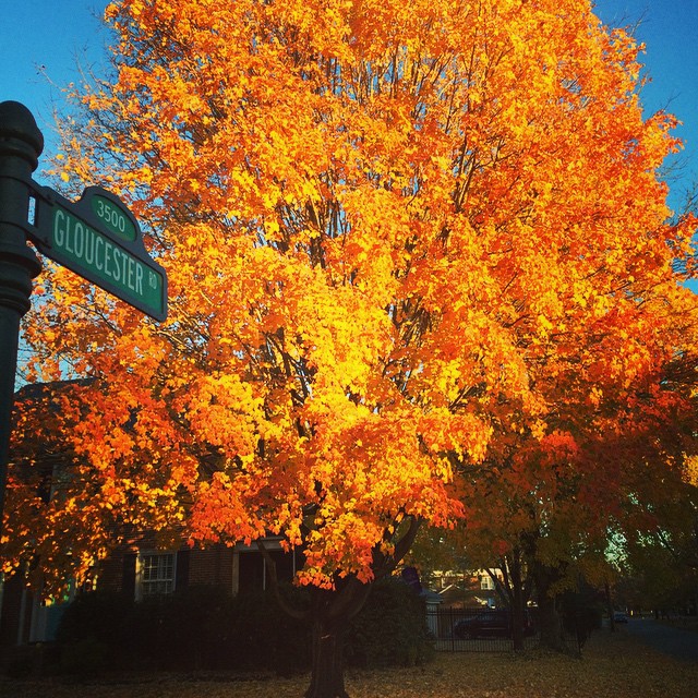 Love Richmond in the fall