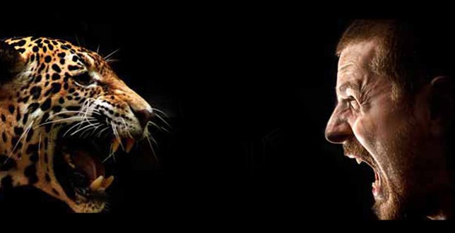face-your-fear-644x330.jpg