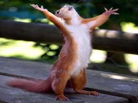 praying.jpg