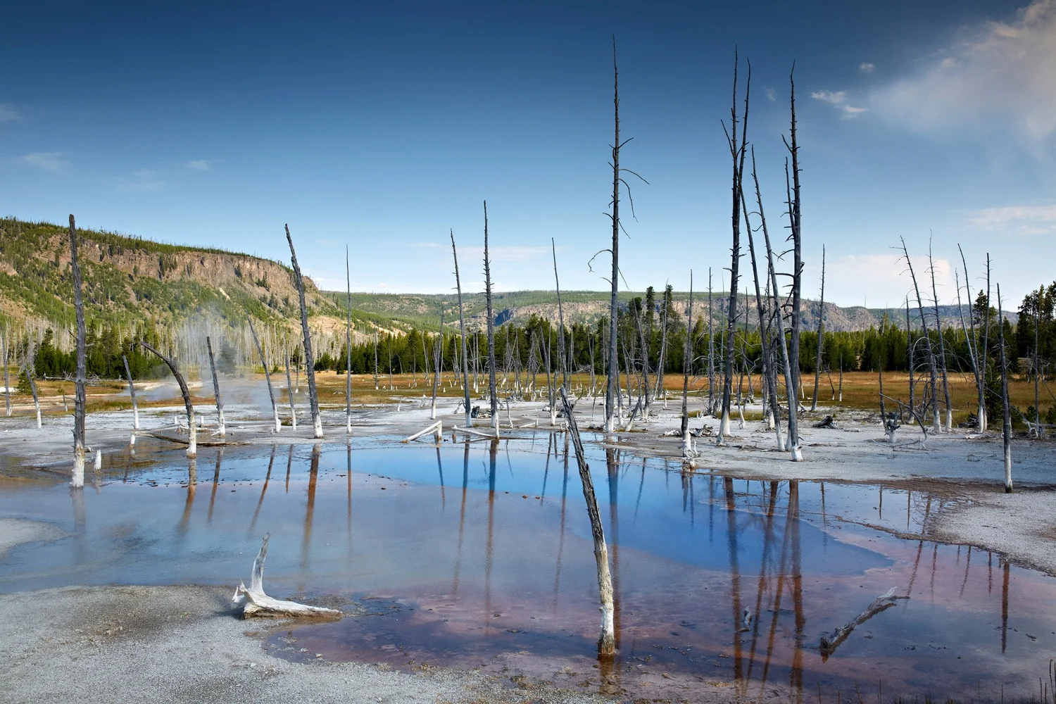 yellowstone2013_077.jpg