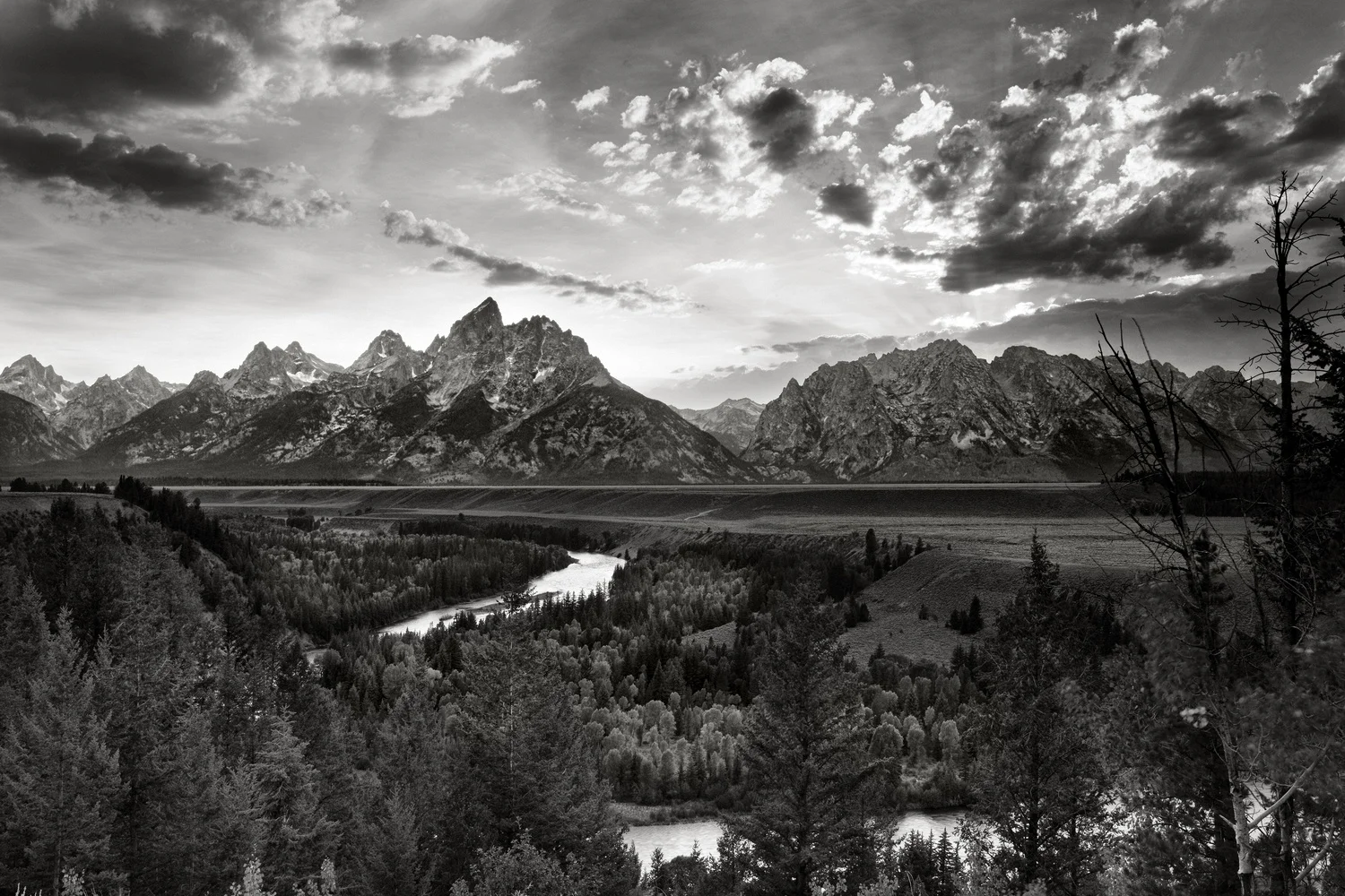 yellowstone2013_158.jpg