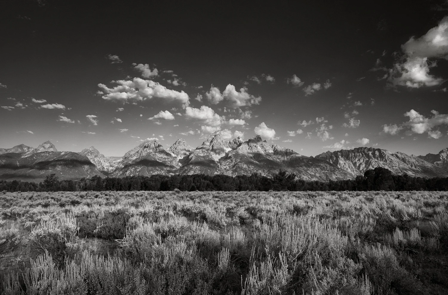yellowstone2013_198.jpg