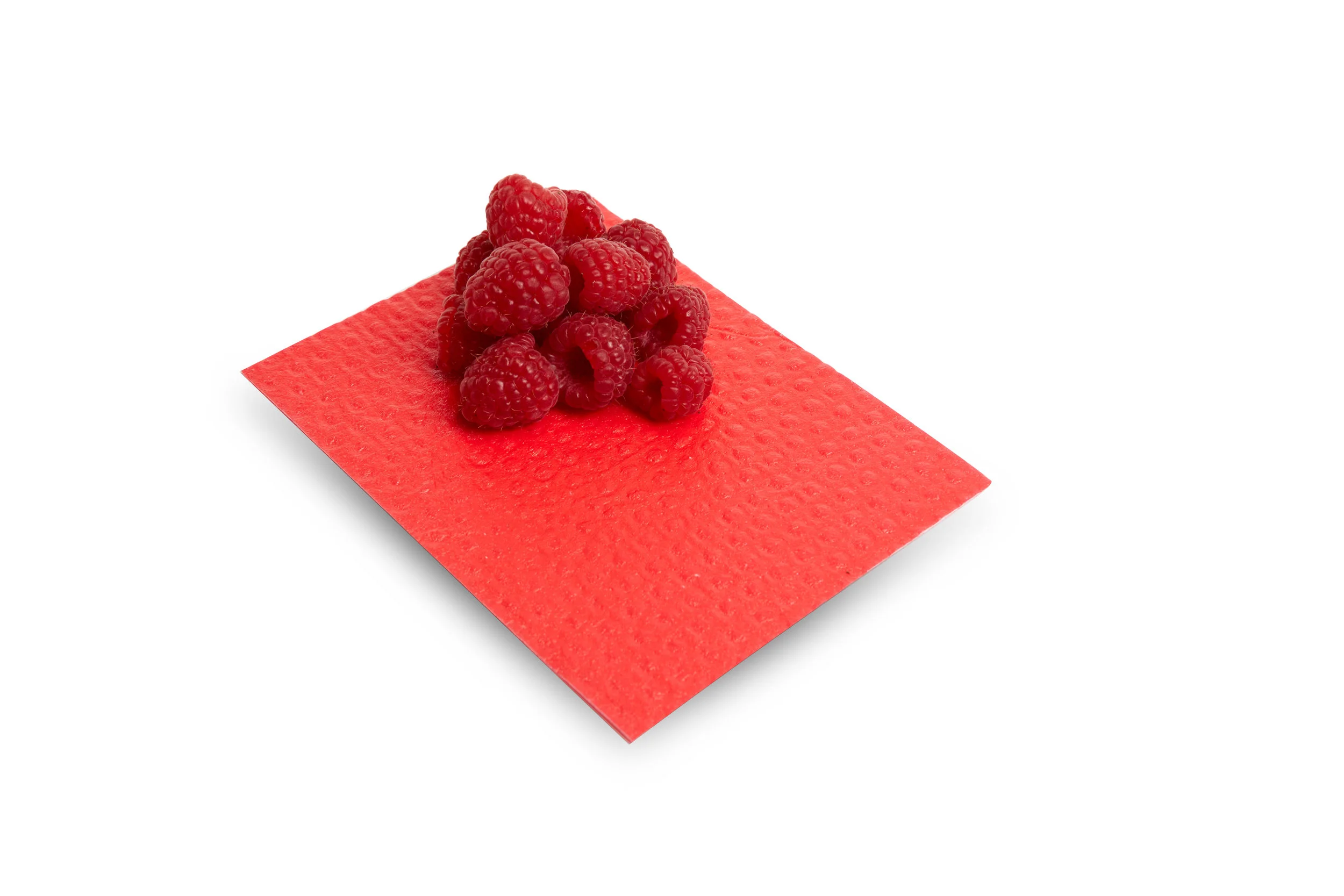 Pacflex2015-0140.jpg