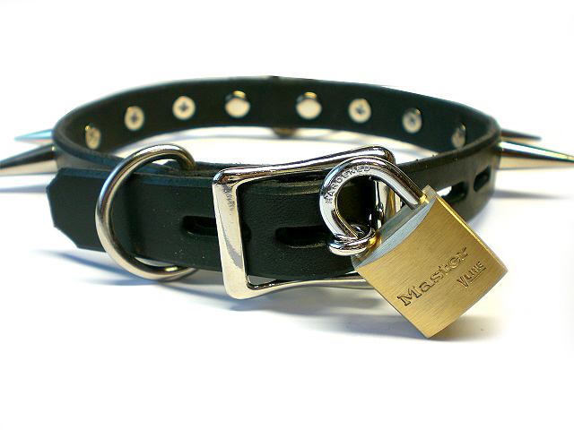 lockable buckle w/padlock - black latigo