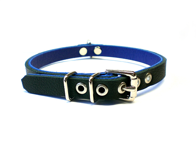 standard buckle - black w/blue inlay