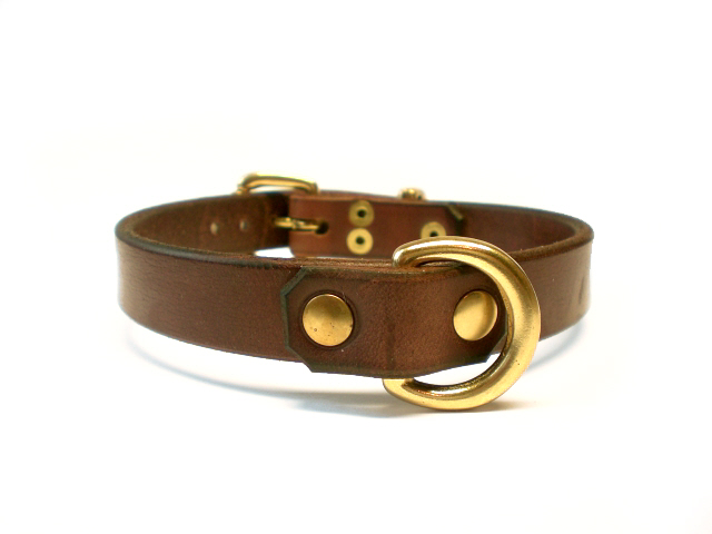 brown bridle
