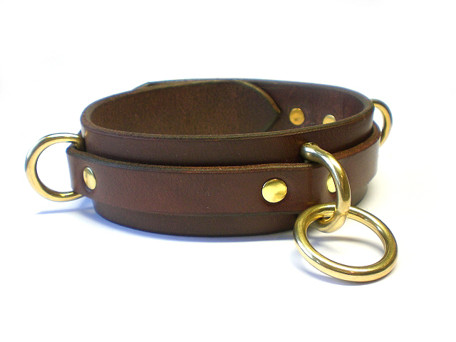 brown bridle