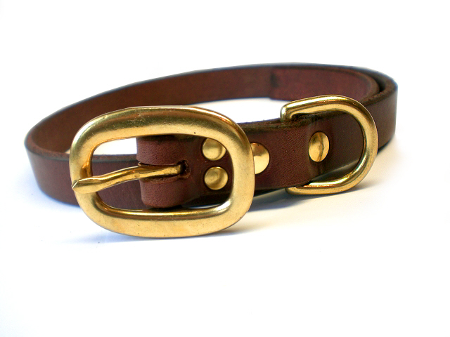brown bridle