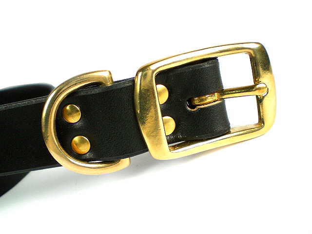 black bridle