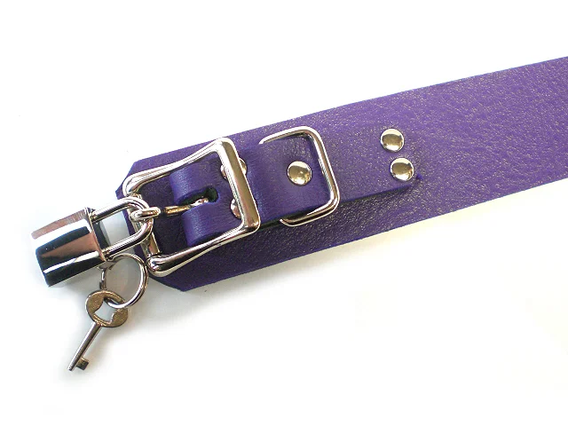 electric purple - small 3/4" buckle