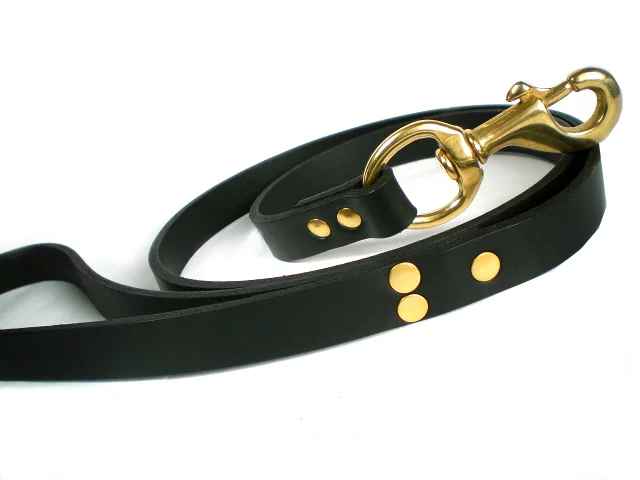 BRASS-4ft-leather lead.jpg