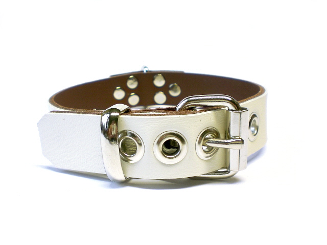 standard buckle