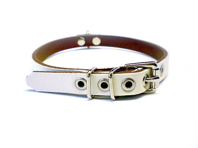 standard buckle