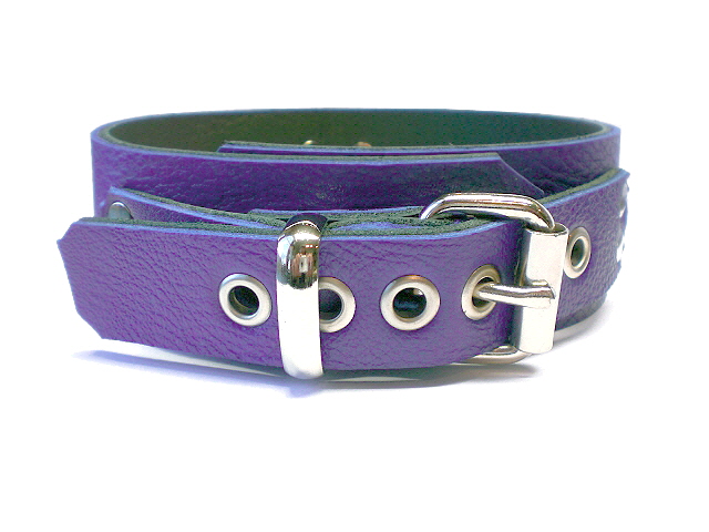 standard buckle