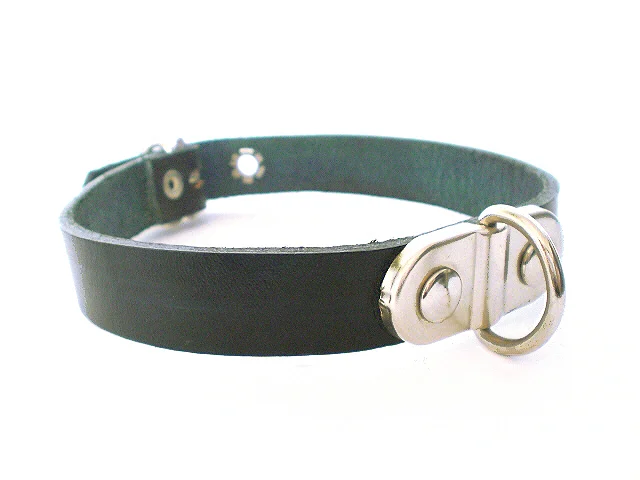 lockable leather bdsm collar with plated dee ring
