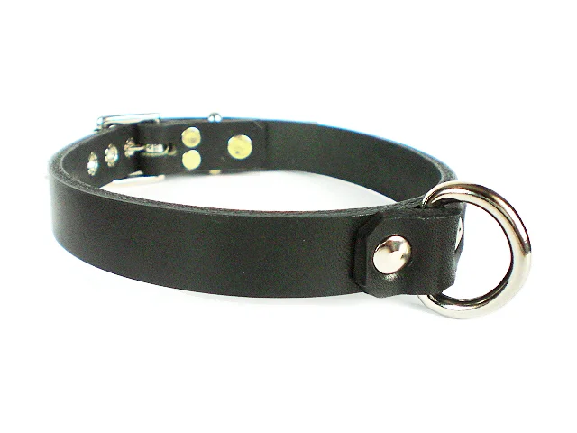 SS-d-ring-strap.jpg