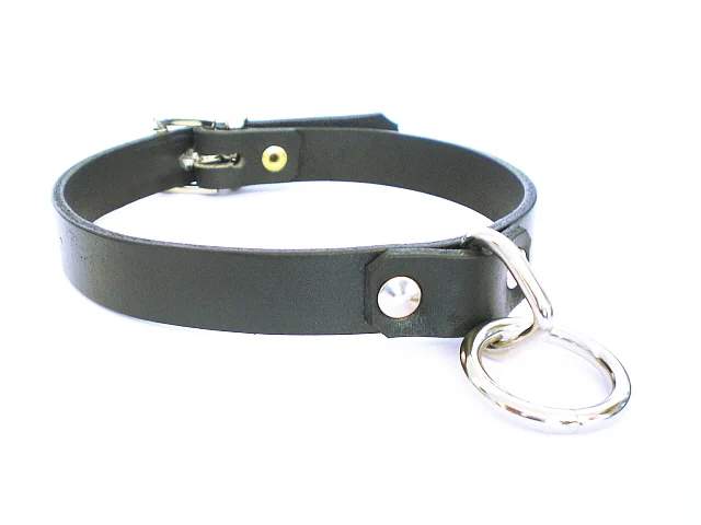 SS-strap-D_Oring.jpg