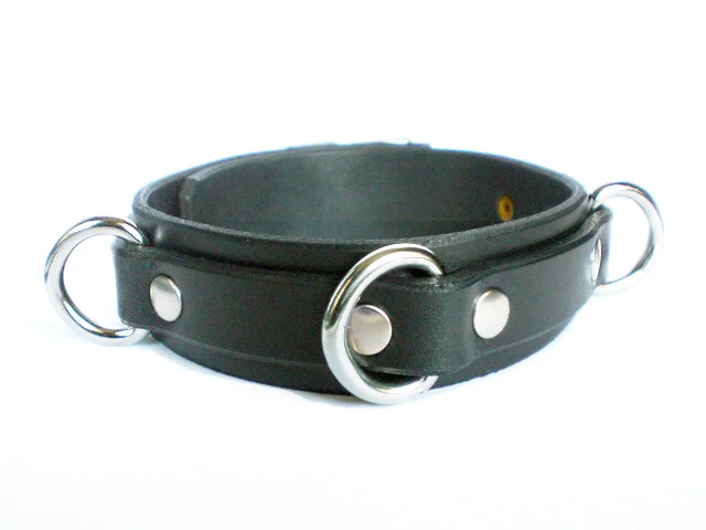 SUB-SS-1.25-triple-d-rings.jpg