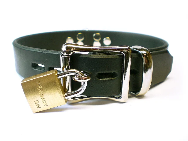 Locking buckle collar Clearance