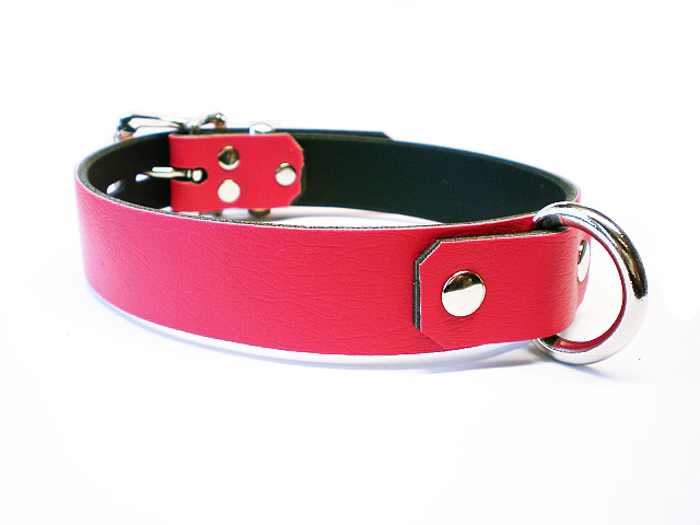 poppy red