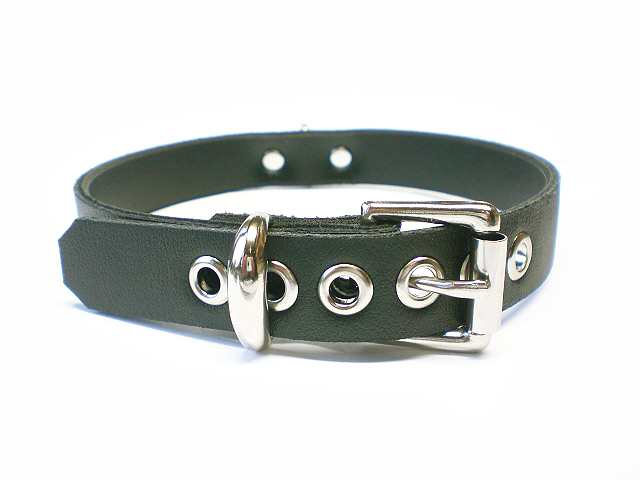 standard buckle - IZIT vegan leather