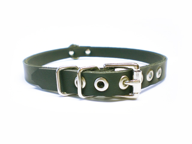 standard buckle