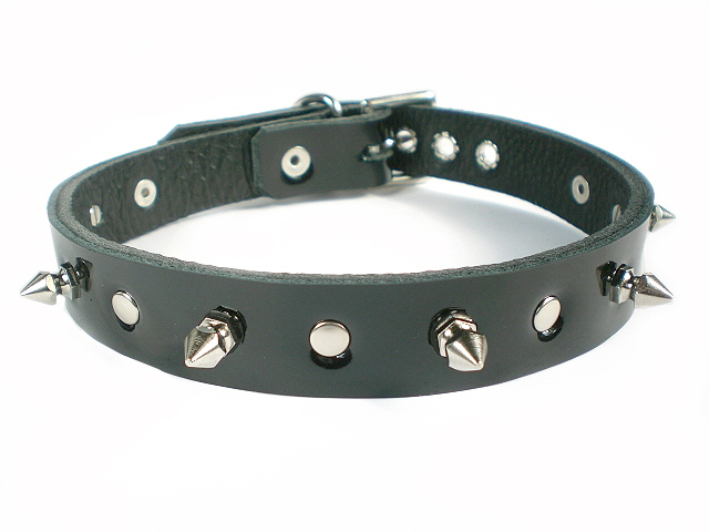 BP-Kitten spikes rivets.jpg
