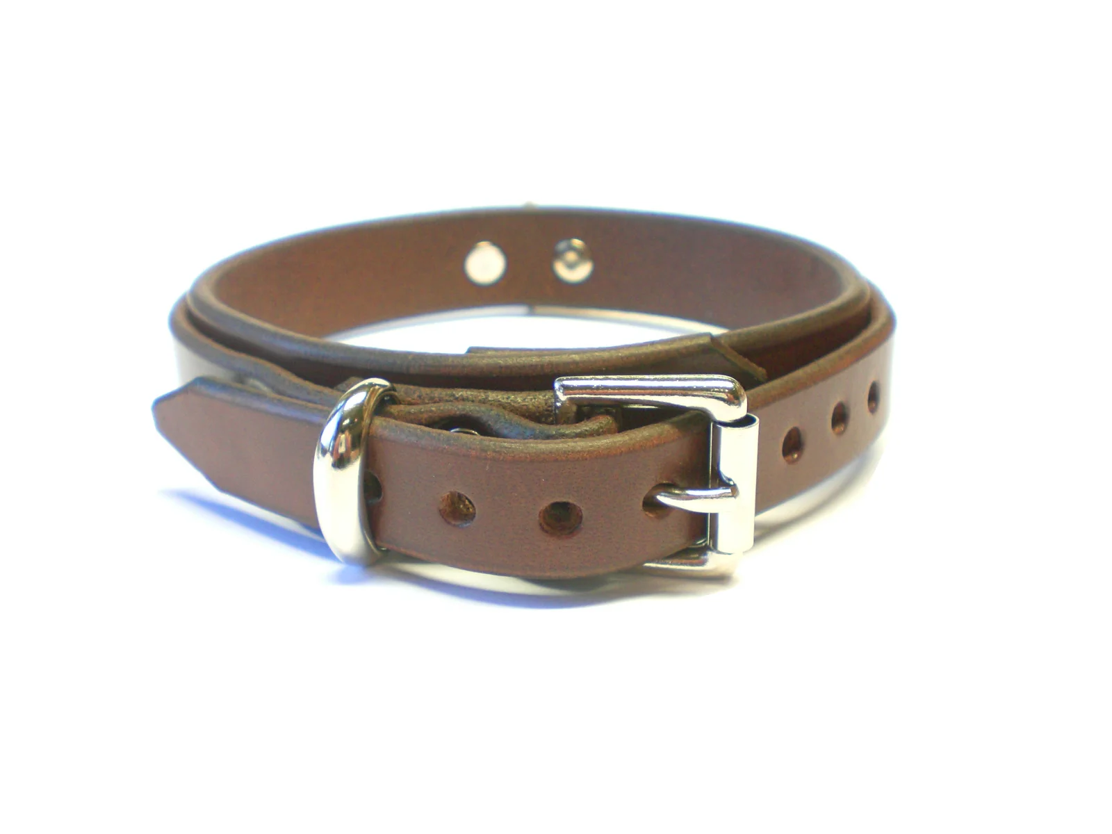 standard buckle