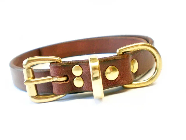 DOG-BN-brass keeper.jpg