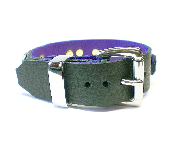 standard buckle w/chrome keeper