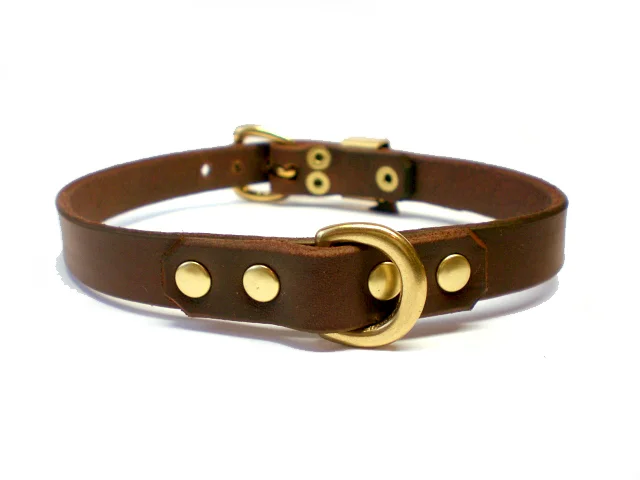 BRN-brass-5-8th-5-8th-dee-ring.jpg