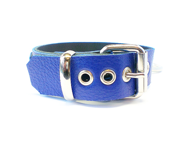 standard buckle - royal blue