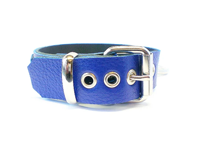 standard buckle - royal blue