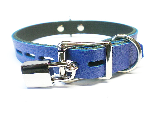 lockable buckle w/padlock