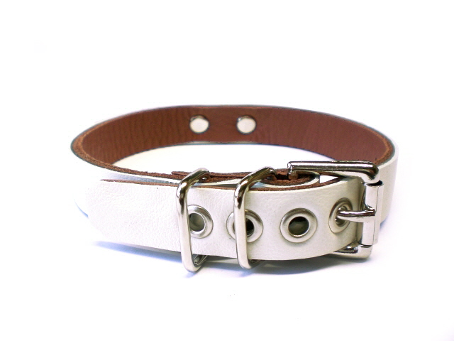 standard buckle