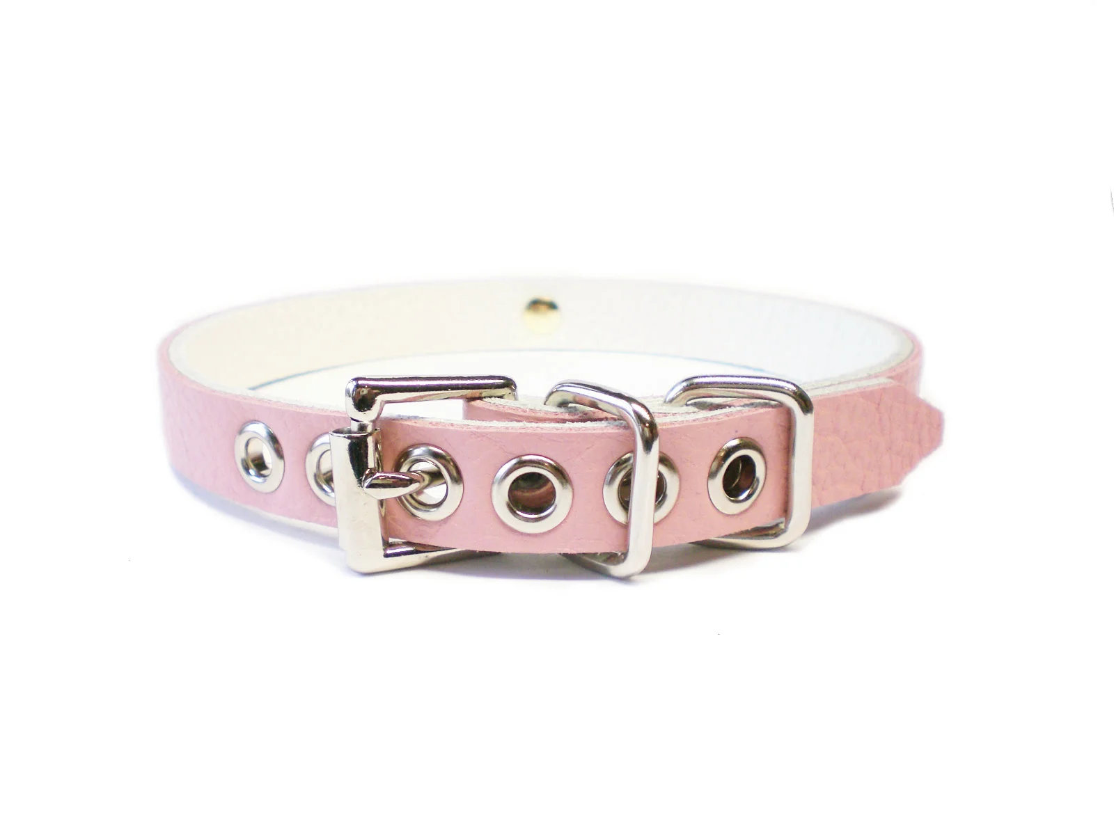 standard buckle