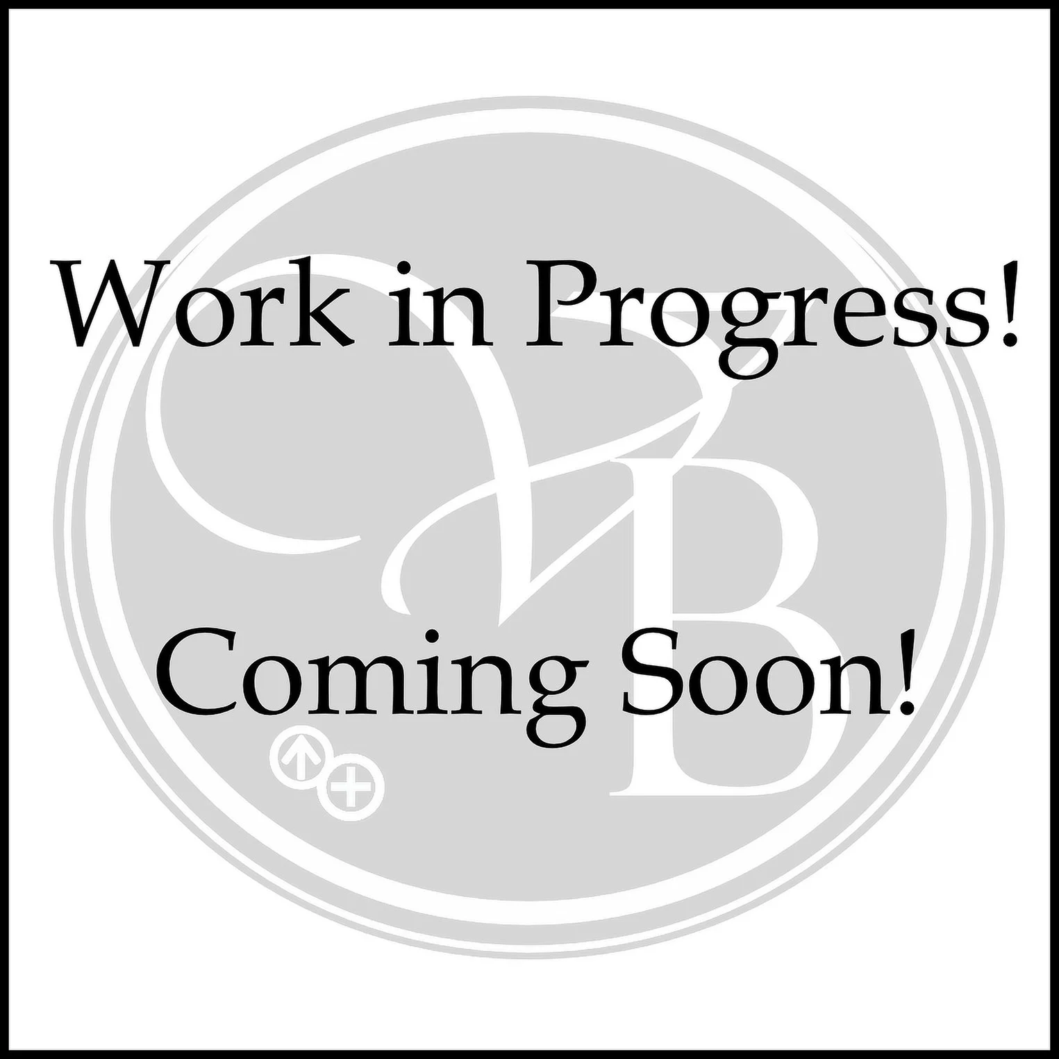 Work in Progress-border.jpg