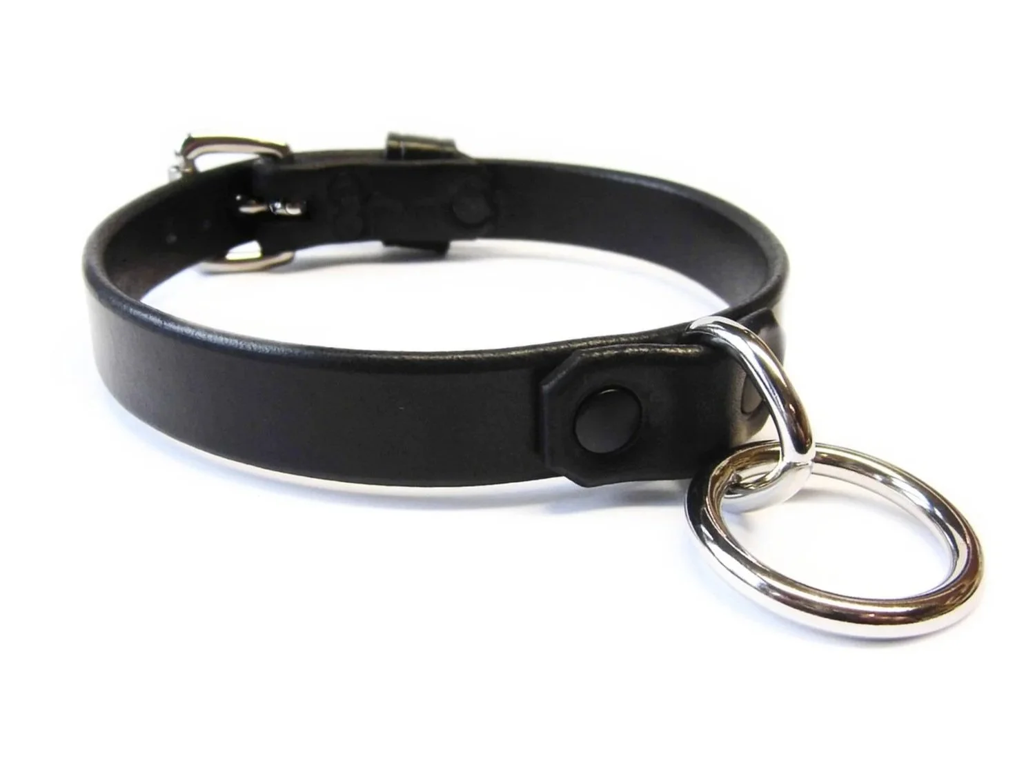 Leather Collar with Stainless Steel Bondage Ring and black rivets