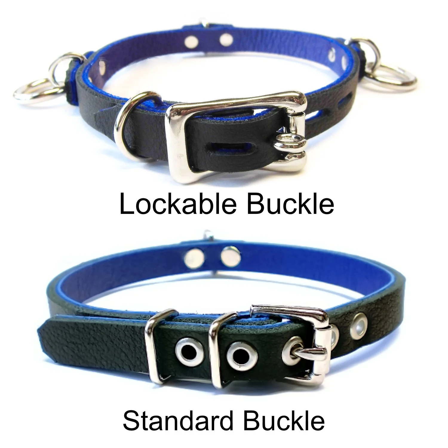 showing lockable or standard buckle option for day collar