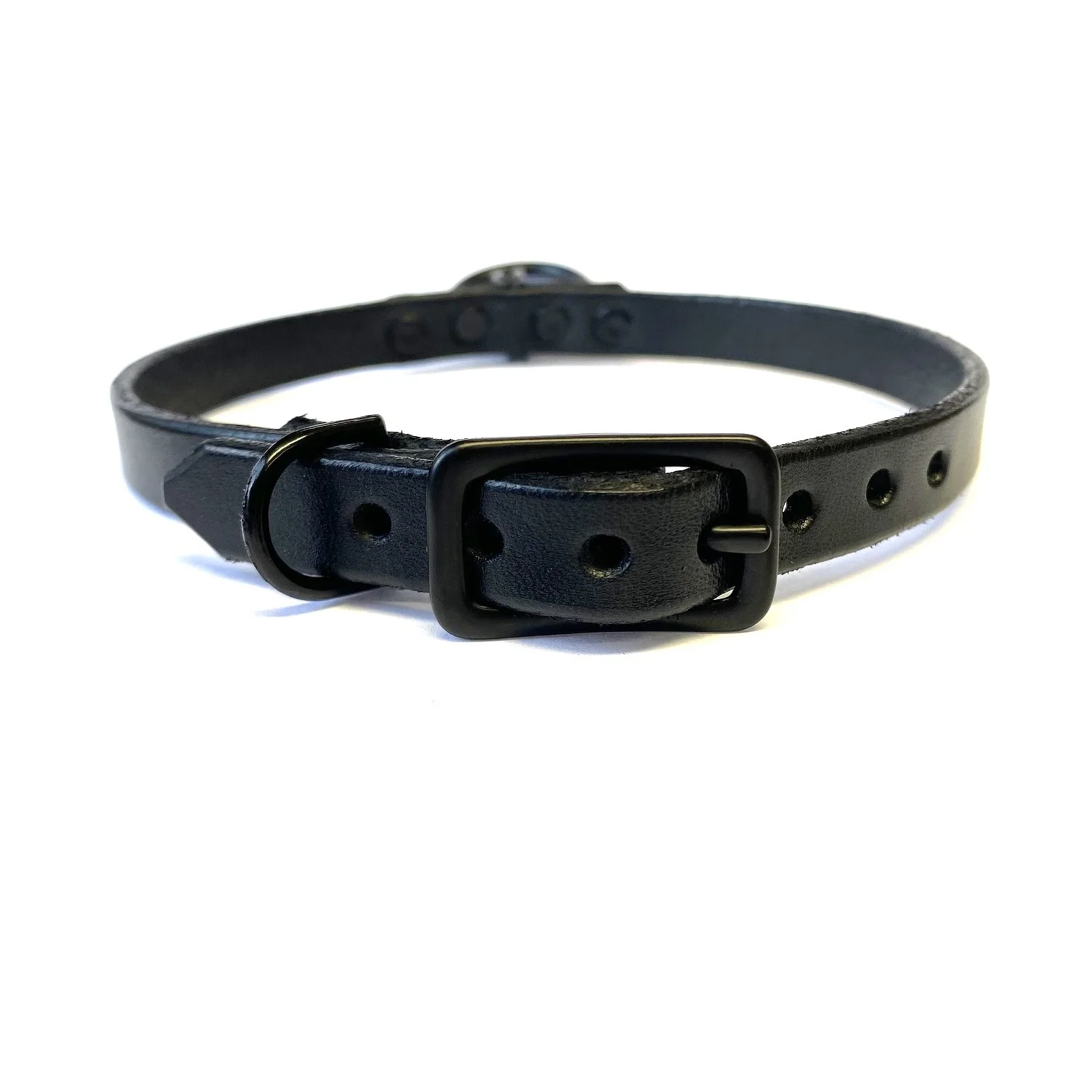 buckle shown on bdsm collar