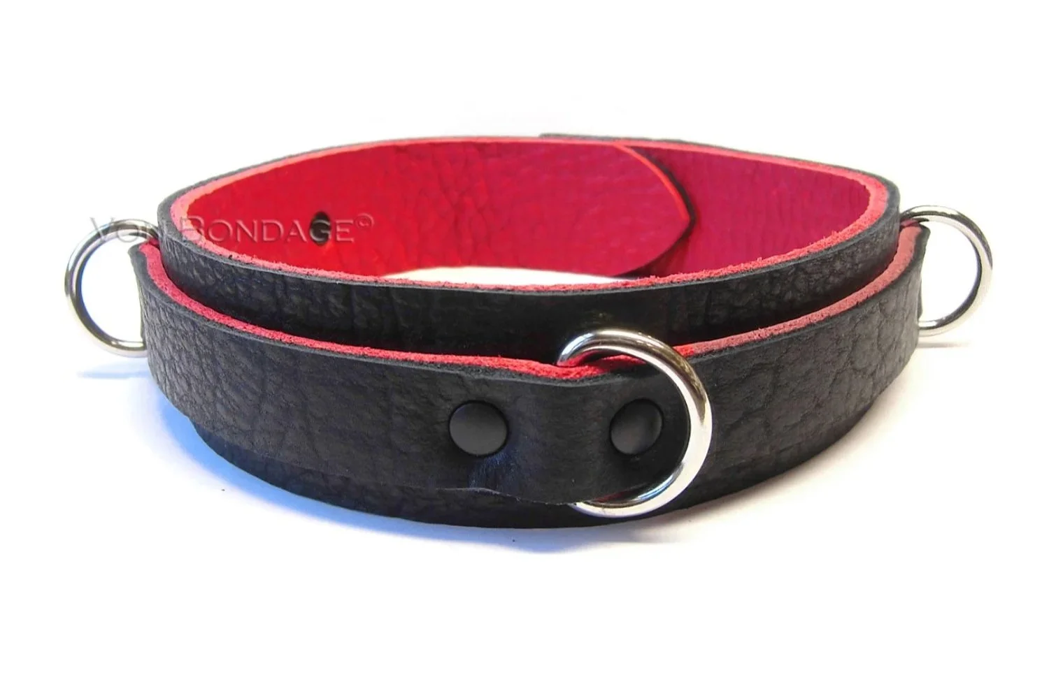 Bison with red leather slave collar with triple stainless steel dee rings
