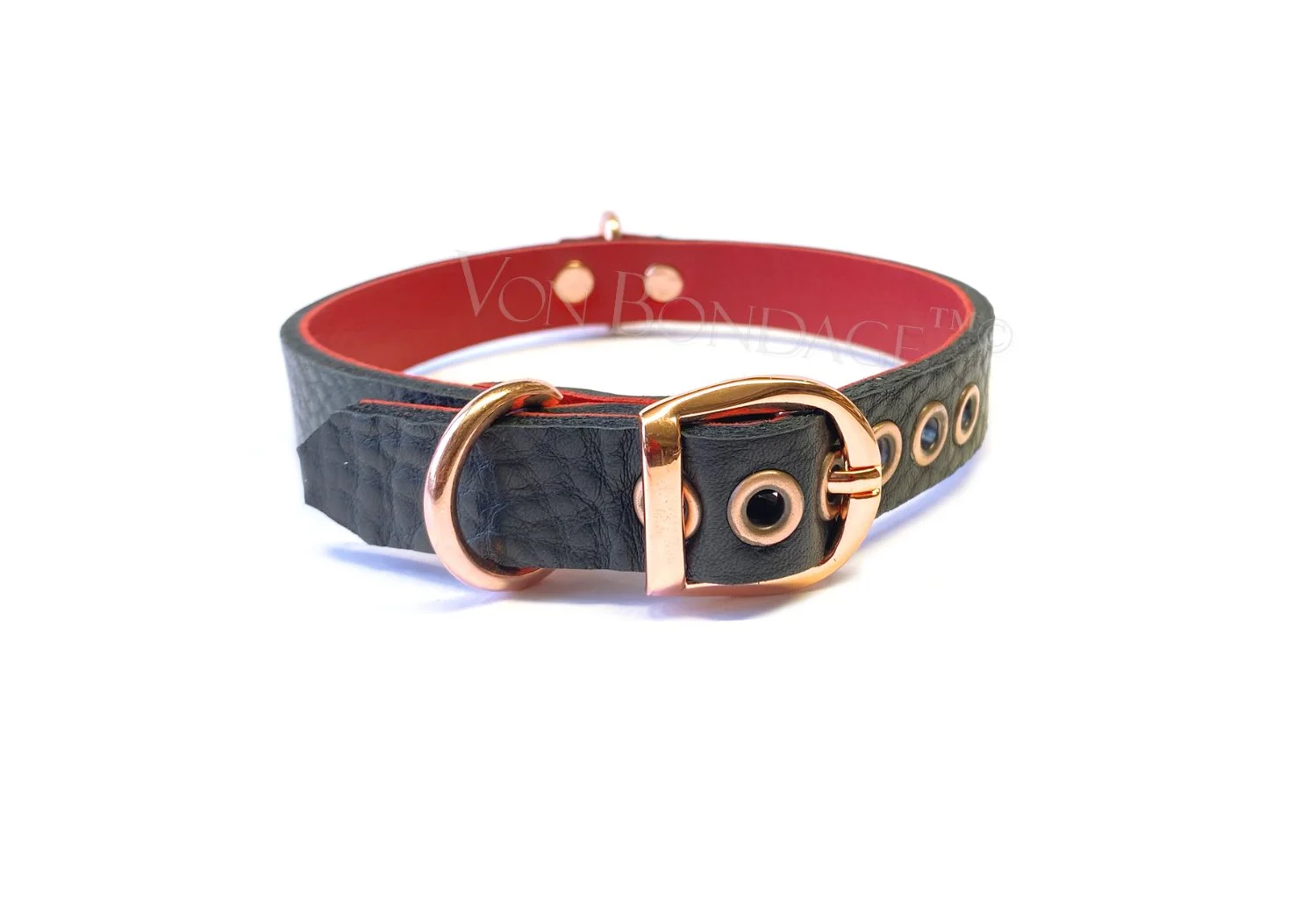 rose gold buckle on bdsm collar
