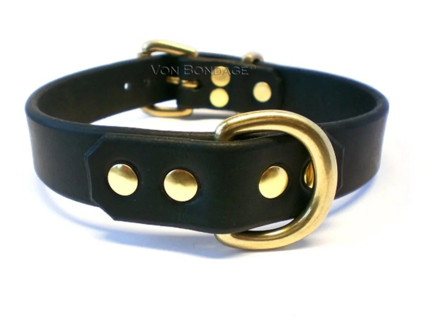 black leather bdsm collar with a large brass d-ring in front