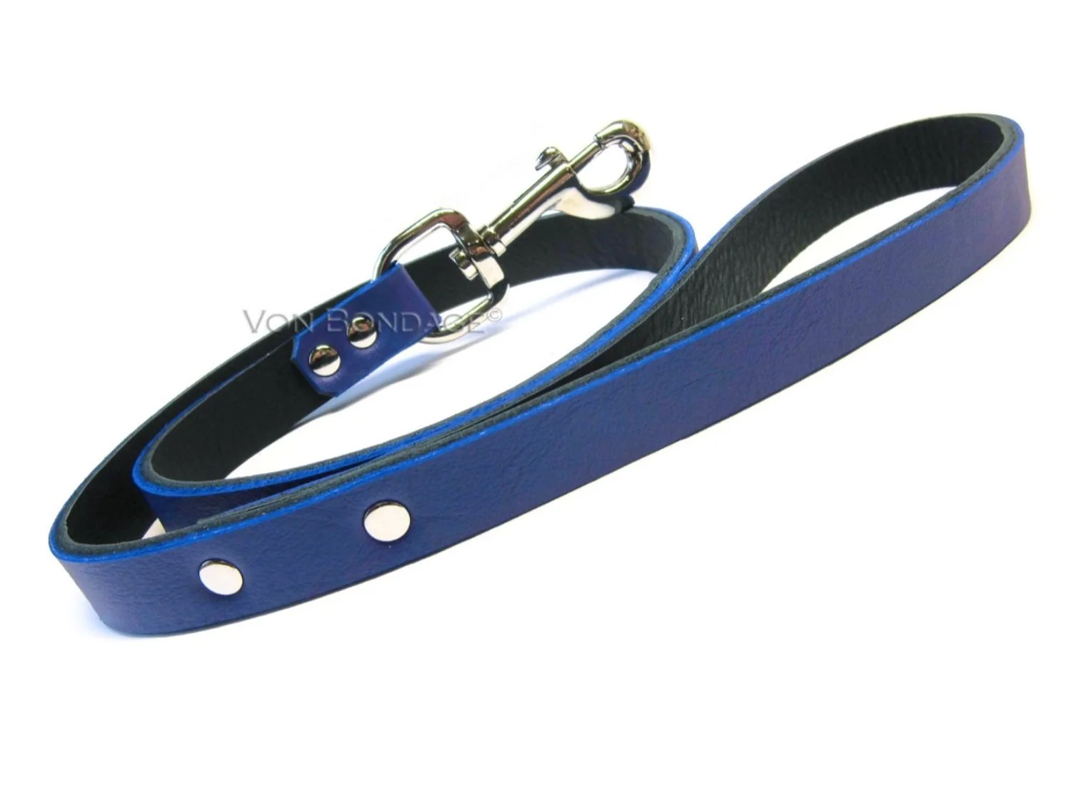 blue leather leash