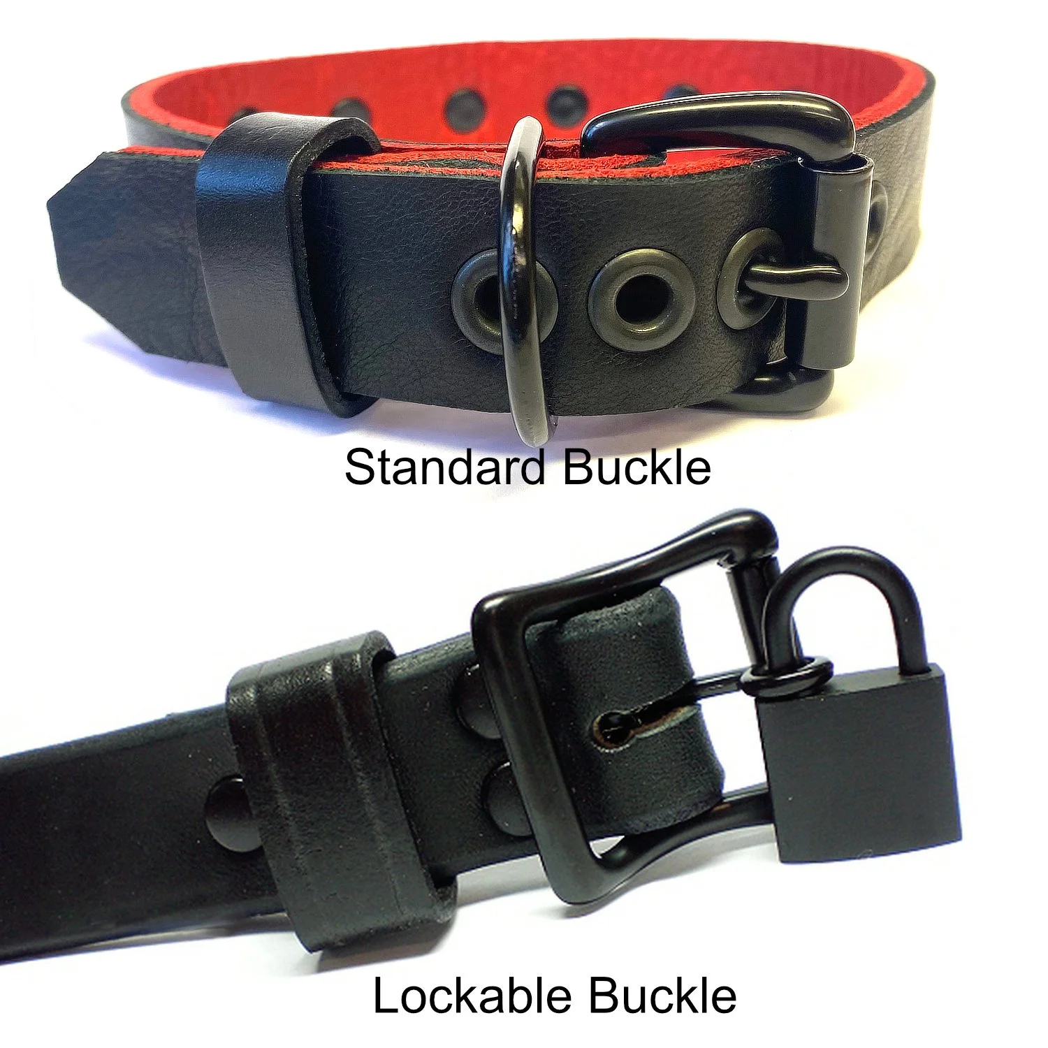 buckle options for bdsm collar