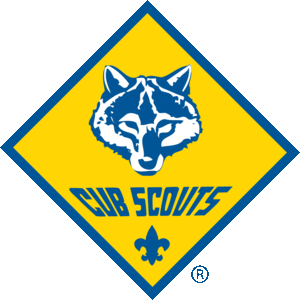 Cub Scout