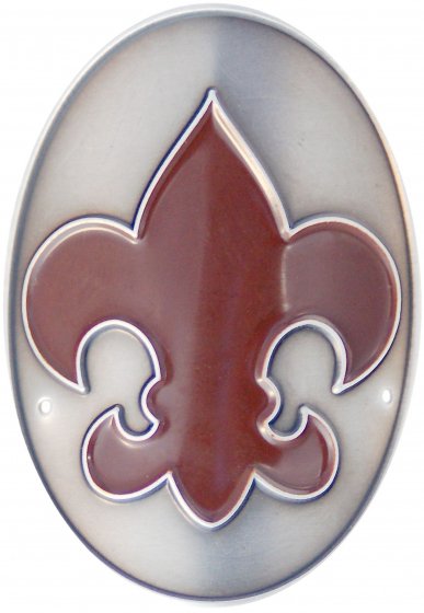 scout shield.jpg